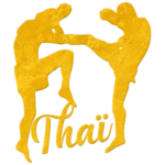 boxe thaï chris fight boxe pieds poings